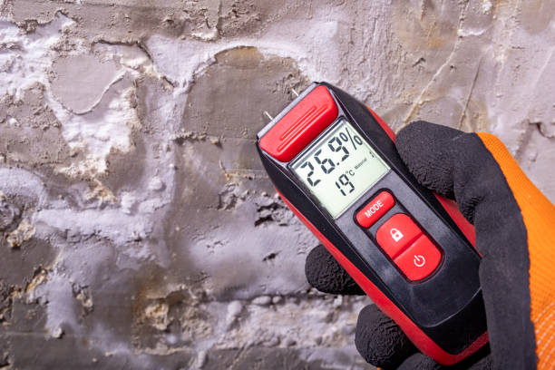 Reliable Deer Lodge, MT Mold Removal Solutions