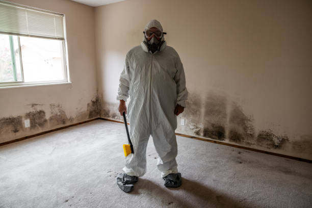 Best Commercial Mold Removal  in Deer Lodge, MT